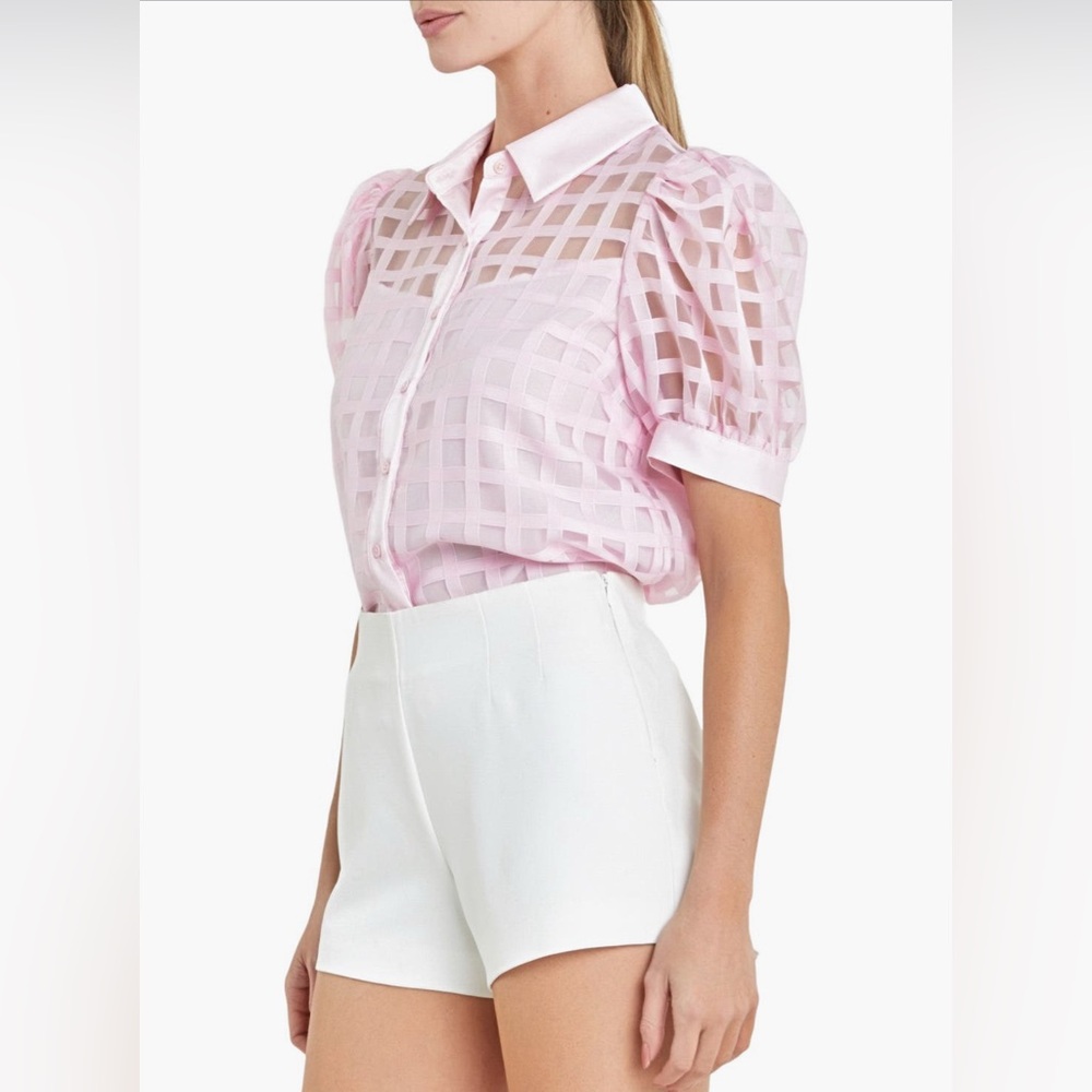 English Factory Pink Sheer Grid Button-Down Blouse - Picture 2 of 16